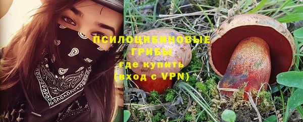 крисы Балахна