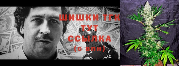 ГАЛЛЮЦИНОГЕННЫЕ ГРИБЫ Арсеньев