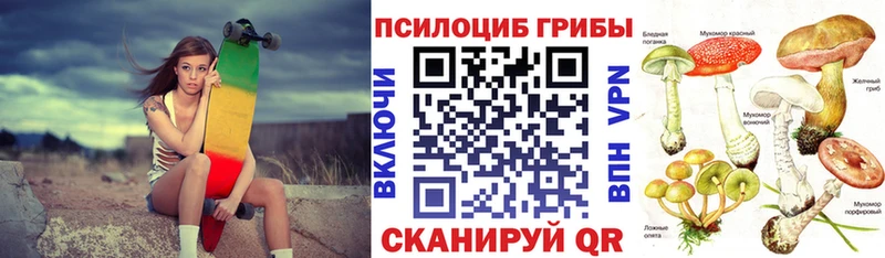наркотики  Усть-Лабинск  Галлюциногенные грибы Cubensis 